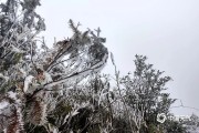 冷空气继续影响广西 桂北高寒山区需防霜冻或冰冻