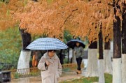 山东迎来今冬初雪 寒潮影响持续降温