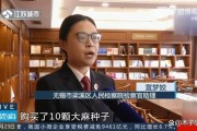 男子出租屋内种大麻结婚当天被抓 婚礼变抓捕现场