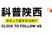 车厘子吃多了不会中毒 科学辟谣放心吃